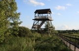 Górna Krasna