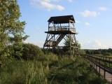 Górna Krasna