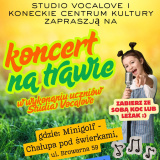 Koncert na trawie