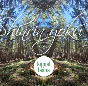 Czarniecka Góra zaprasza na kąpiel leśną