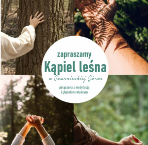 Kąpiel Leśna w Czarnieckiej Górze
